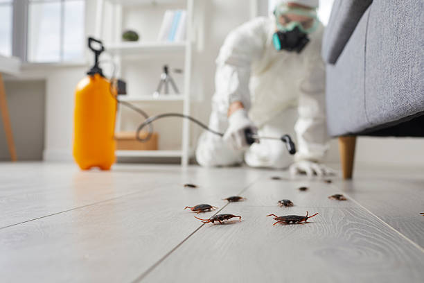 Commercial Kitchen Cockroach Control in Homewood